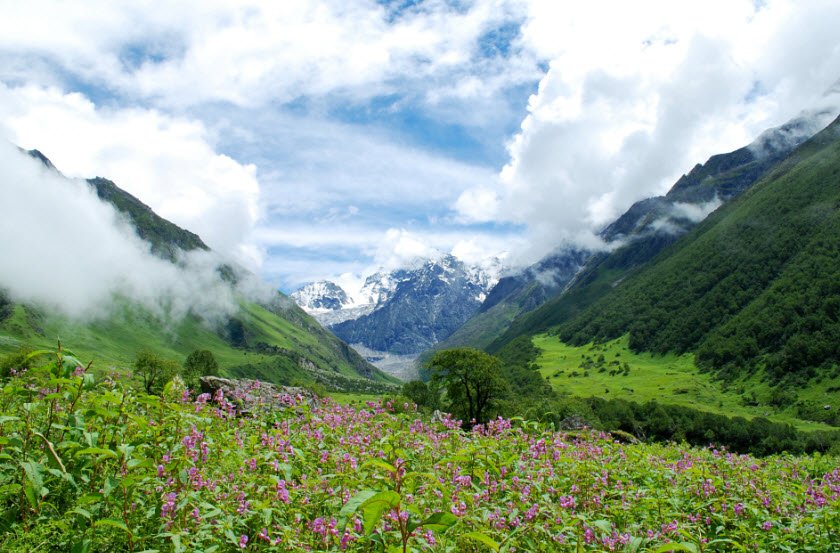 Valley of Flowers, Uttarakhand, India